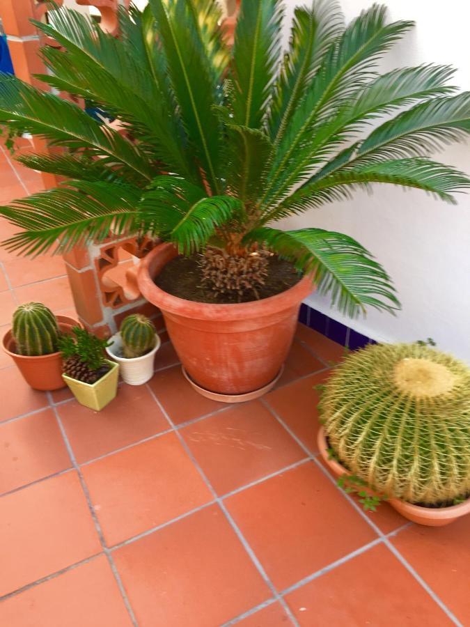 Vila Fidalgo Appartement Nazaré Buitenkant foto