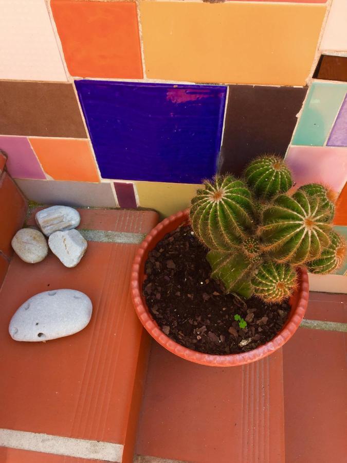 Vila Fidalgo Appartement Nazaré Buitenkant foto
